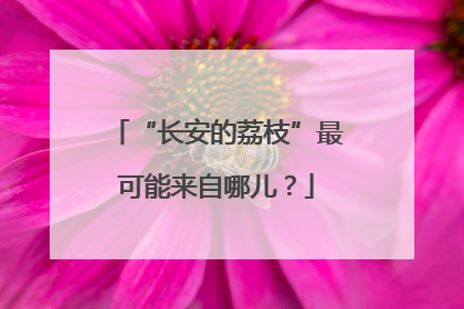 “长安的荔枝”最可能来自哪儿？